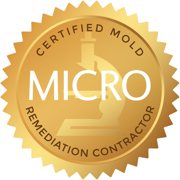 Certified Mold Remediation